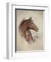 Race Horse II-Ruane Manning-Framed Art Print