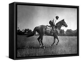 Race Horse Man O' War-null-Framed Stretched Canvas