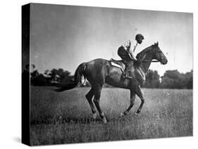 Race Horse Man O' War-null-Stretched Canvas