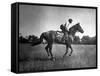 Race Horse Man O' War-null-Framed Stretched Canvas