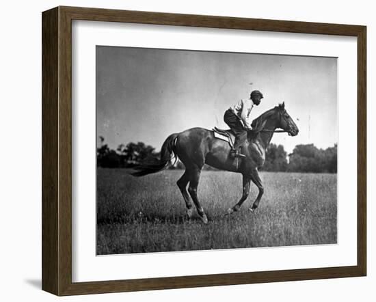 Race Horse Man O' War-null-Framed Photographic Print