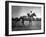 Race Horse Man O' War-null-Framed Photographic Print