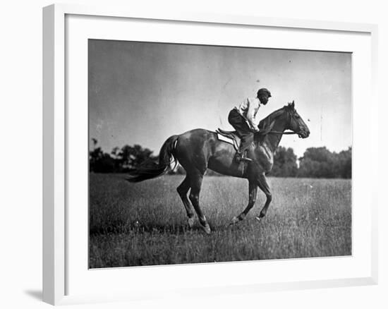 Race Horse Man O' War-null-Framed Photographic Print