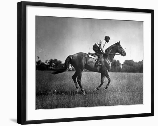 Race Horse Man O' War-null-Framed Photographic Print