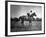 Race Horse Man O' War-null-Framed Photographic Print