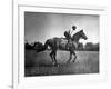 Race Horse Man O' War-null-Framed Photographic Print