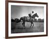 Race Horse Man O' War-null-Framed Photographic Print