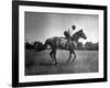 Race Horse Man O' War-null-Framed Photographic Print