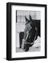 Race Horse Seattle Slew Poking His Head from Stall-null-Framed Photographic Print