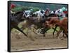 Race Horses in Action, Saratoga Springs, New York, USA-Lisa S^ Engelbrecht-Framed Stretched Canvas