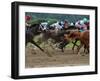 Race Horses in Action, Saratoga Springs, New York, USA-Lisa S^ Engelbrecht-Framed Premium Photographic Print