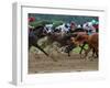 Race Horses in Action, Saratoga Springs, New York, USA-Lisa S^ Engelbrecht-Framed Premium Photographic Print