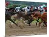 Race Horses in Action, Saratoga Springs, New York, USA-Lisa S^ Engelbrecht-Mounted Premium Photographic Print