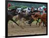 Race Horses in Action, Saratoga Springs, New York, USA-Lisa S^ Engelbrecht-Framed Premium Photographic Print