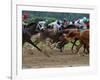 Race Horses in Action, Saratoga Springs, New York, USA-Lisa S^ Engelbrecht-Framed Photographic Print