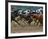 Race Horses in Action, Saratoga Springs, New York, USA-Lisa S^ Engelbrecht-Framed Photographic Print