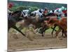 Race Horses in Action, Saratoga Springs, New York, USA-Lisa S^ Engelbrecht-Mounted Photographic Print