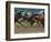 Race Horses in Action, Saratoga Springs, New York, USA-Lisa S^ Engelbrecht-Framed Photographic Print