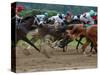 Race Horses in Action, Saratoga Springs, New York, USA-Lisa S^ Engelbrecht-Stretched Canvas