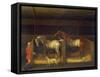 Race Horses Owned by Ambrose Phillips, 1747 (Oil on Canvas)-James Seymour-Framed Stretched Canvas