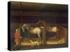 Race Horses Owned by Ambrose Phillips, 1747 (Oil on Canvas)-James Seymour-Stretched Canvas