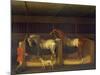 Race Horses Owned by Ambrose Phillips, 1747 (Oil on Canvas)-James Seymour-Mounted Giclee Print