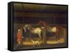 Race Horses Owned by Ambrose Phillips, 1747 (Oil on Canvas)-James Seymour-Framed Stretched Canvas