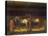 Race Horses Owned by Ambrose Phillips, 1747 (Oil on Canvas)-James Seymour-Stretched Canvas