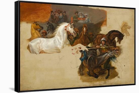Race of the Riderless Horses, C.1820 (Oil on Canvas)-Emile Jean Horace Vernet-Framed Stretched Canvas
