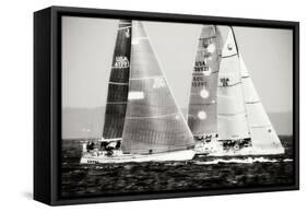 Race on the Chesapeake III-Alan Hausenflock-Framed Stretched Canvas