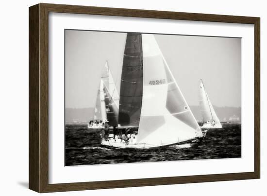 Race on the Chesapeake IV-Alan Hausenflock-Framed Photographic Print