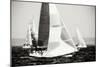 Race on the Chesapeake IV-Alan Hausenflock-Mounted Photographic Print