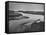 Race Point in Cape Cod-Eliot Elisofon-Framed Stretched Canvas
