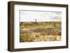 Race Point-Guido Cozzi-Framed Photographic Print