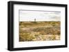 Race Point-Guido Cozzi-Framed Photographic Print