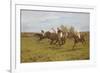 Race to the End-Thomas Blinks-Framed Giclee Print