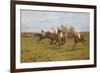 Race to the End-Thomas Blinks-Framed Giclee Print