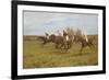 Race to the End-Thomas Blinks-Framed Giclee Print