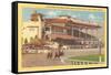 Race Track, Agua Caliente, Tijuana, Mexico-null-Framed Stretched Canvas