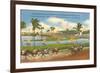 Race Track, Hollywood, Florida-null-Framed Premium Giclee Print