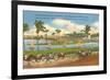 Race Track, Hollywood, Florida-null-Framed Premium Giclee Print