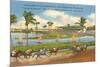 Race Track, Hollywood, Florida-null-Mounted Premium Giclee Print