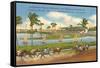 Race Track, Hollywood, Florida-null-Framed Stretched Canvas