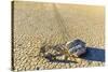 Race Track Rocks, Death Valley, California.-John Ford-Stretched Canvas