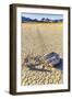 Race Track Rocks, Death Valley, California.-John Ford-Framed Photographic Print