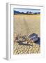 Race Track Rocks, Death Valley, California.-John Ford-Framed Photographic Print