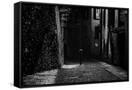 Canvas Black
