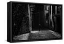 Canvas Black
