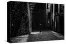 Stretched Canvas