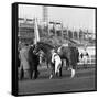 Racehorse and Jockey in Front of Doncaster Racecourse Grandstand, South Yorkshire, 1969-Michael Walters-Framed Stretched Canvas